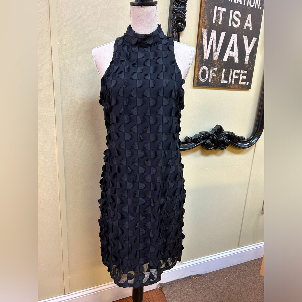 Boho Chic little black frilly dress. Sleeveless with mock turtleneck & back zip
